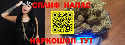 гидра Тверь