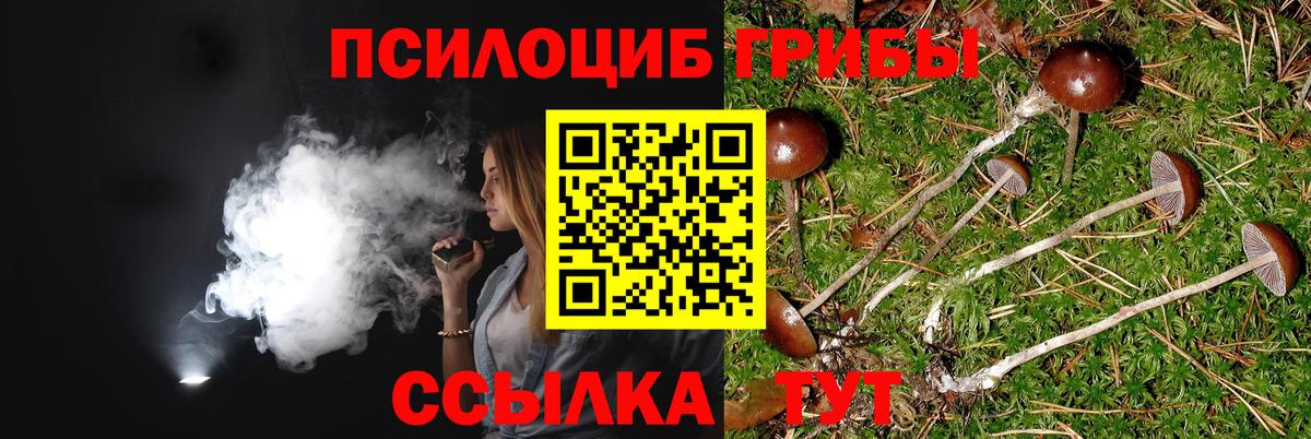 Осинники  Галлюциногенные грибы прущие грибы  Вход с VPN 