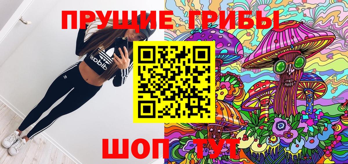 Псилоцибиновые грибы MAGIC MUSHROOMS Осинники